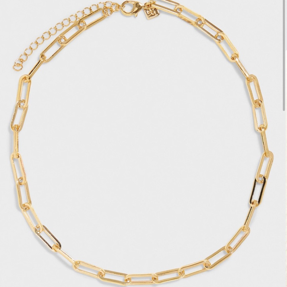 Banana Republic Paperclip Chain Necklace